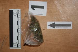 Slika PU_I/marihuana-umagw.jpg