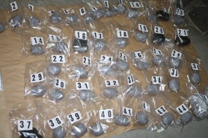 Slika PU_I/vijesti/2010/marihuana-pore%C4%8Dw.jpg