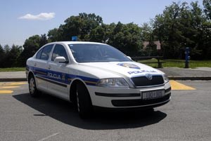 Slika PU_PS///auto_policija02.jpg