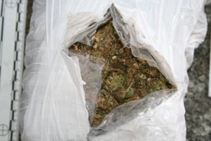 Slika PU_PS/slike-vijesti/2010%20godina/marihuana_paketW.jpg