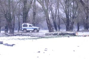 Photo PU_ZG/slike/MUP/vozila_policija/auto_policija08.jpg