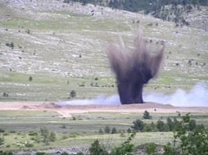 Slika ex1web.jpg