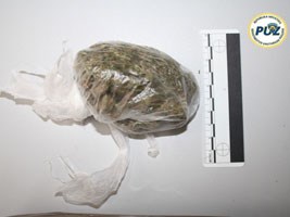 Slika topvijesti/2012/kolovoz/marihuana_puz03.jpg