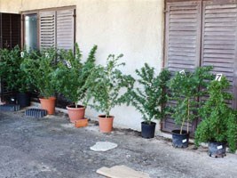 Slika topvijesti/2012/listopad/krk07.jpg