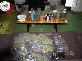 Slika topvijesti/2012/prosinac/puz_marihuana.jpg
