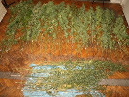 Slika topvijesti/2012/rujan/droga_Knin_web.jpg