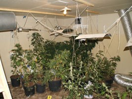 Slika topvijesti/2012/rujan/laboratorij01.jpg