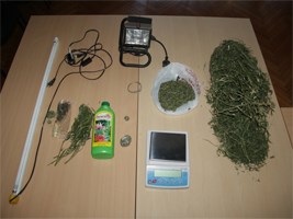 Slika topvijesti/2012/rujan/trava_VZ.jpg