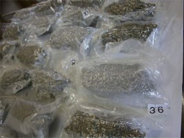 Slika topvijesti/2013/Svibanj/sisak_marihuana.jpg