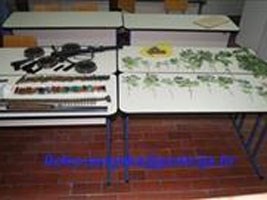 Slika topvijesti/2013/kolovoz/PU_LS_-marihuana.jpg