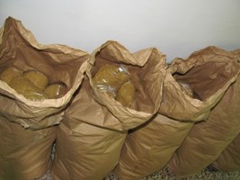 Slika topvijesti/2013/listopad/duhan_bp.jpg