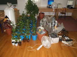 Slika topvijesti/2013/listopad/klanjec_marihuana.jpg