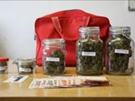 Slika topvijesti/2013/sijecanj/marihuana_u_staklenkama.jpg