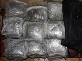 Slika topvijesti/2014/sijecanj/marihuana_u_moru.jpg
