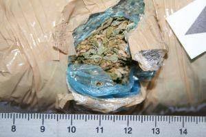 Slika topvijesti/godina2010/travanj/marihuana_30_04.jpg