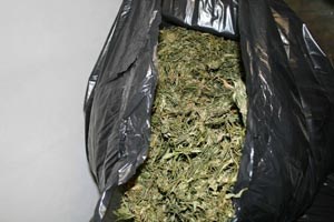 Slika topvijesti/godina_2009/droga_osijek.jpg