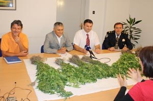 Slika topvijesti/godina_2009/lipanj/slatina_marihuana.jpg