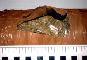 Slika topvijesti/godina_2009/prosinac_09/marihuana.jpg
