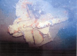 Slika topvijesti/veljaca08/torpedo2.jpg